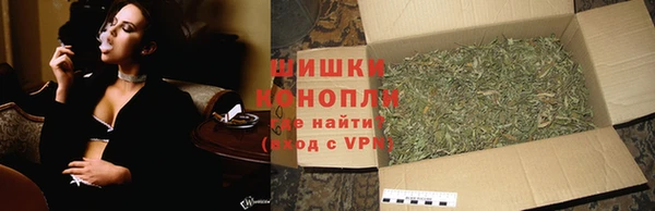 ГАЛЛЮЦИНОГЕННЫЕ ГРИБЫ Заволжье
