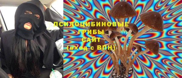 mdma Ельня