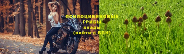 наркотики Заводоуковск