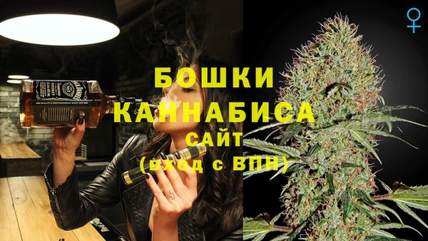 ГАЛЛЮЦИНОГЕННЫЕ ГРИБЫ Заволжье