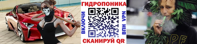 Конопля индика Калачинск